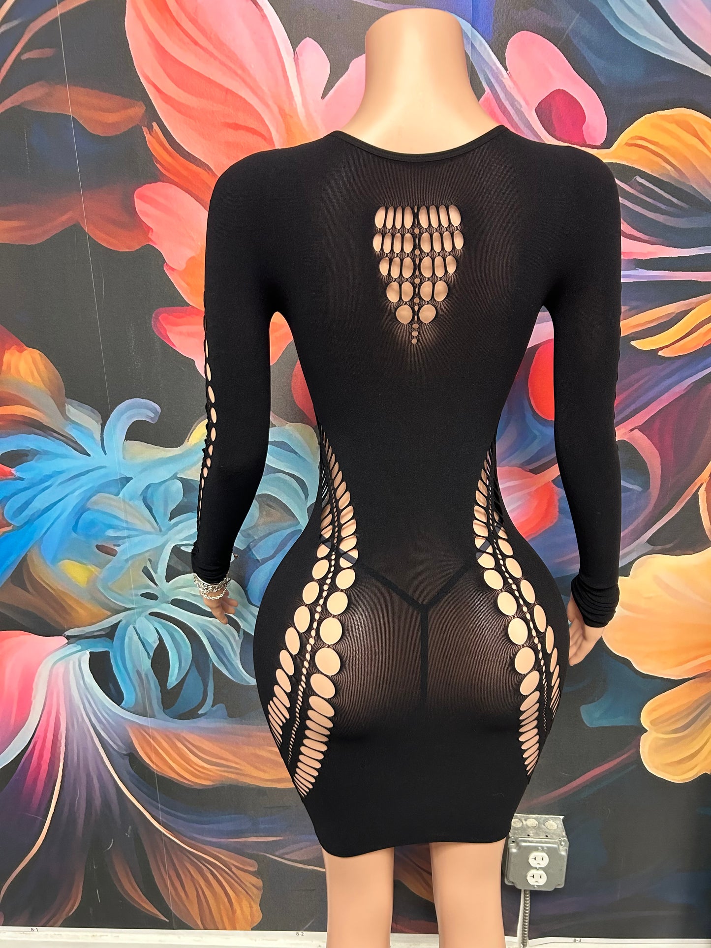 Long Sleeve mesh Dress