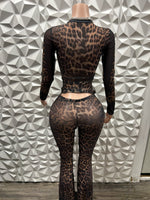 The Animal Print Mesh Set