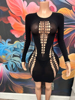 Long Sleeve mesh Dress